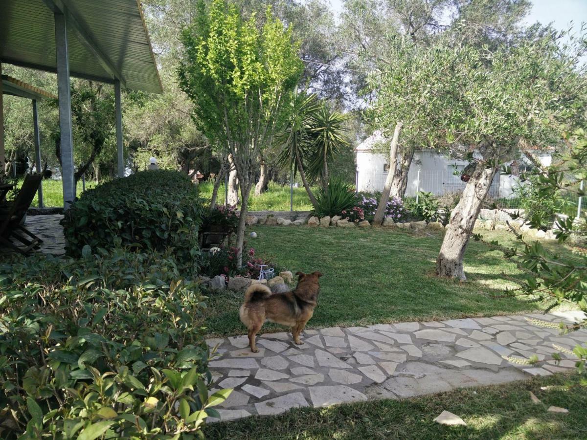 Villa Lou Notos Extérieur photo